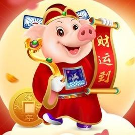 明天毛猪价