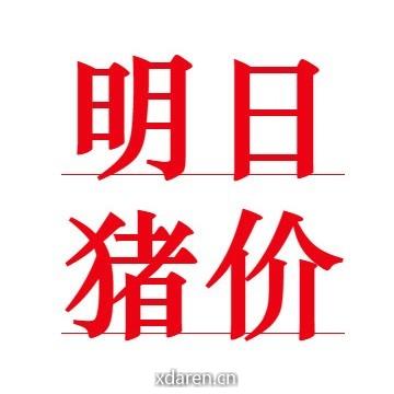 猪价行情宝