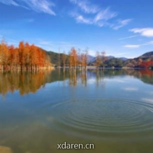 老王的诗和远方