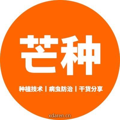 芒种