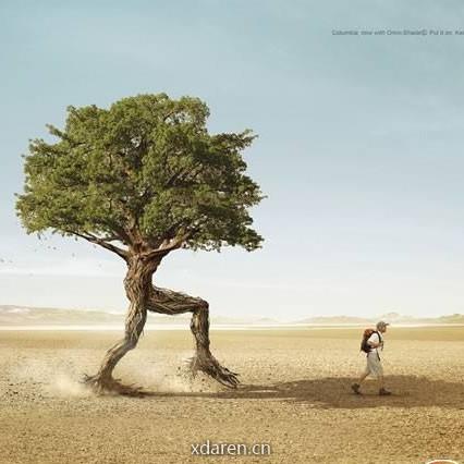 互联网后端架构