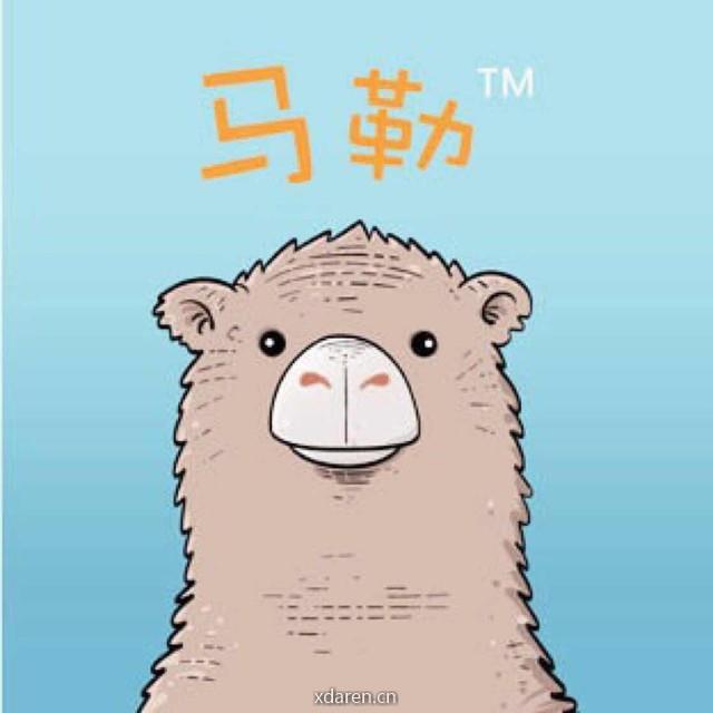 社长从来不假装