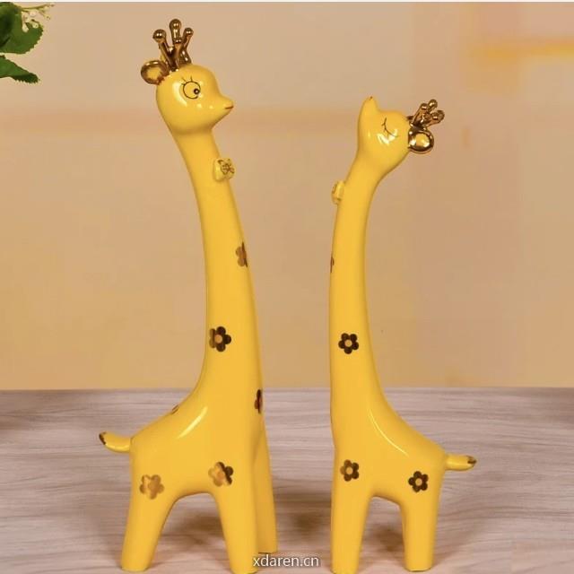 皓月君521