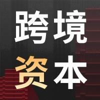 跨境资本论