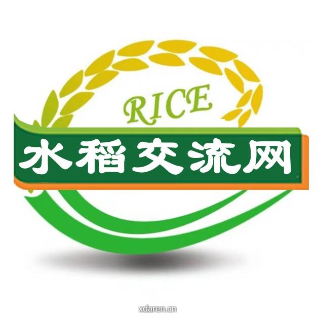 水稻交流网