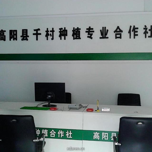 千村农民合作社