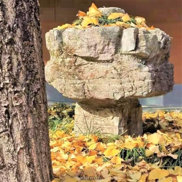 禾睦山房