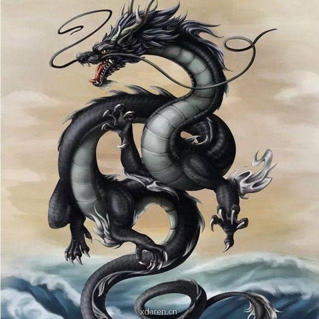 狂龙十八段品股