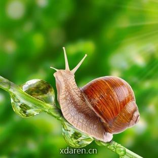 消防学徒小蜗牛