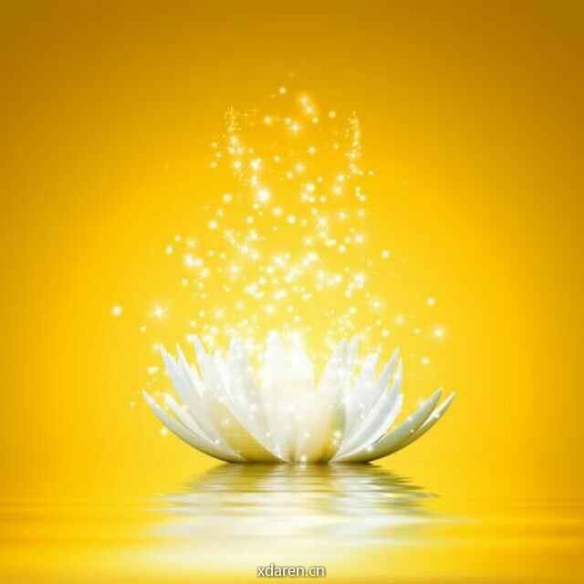 小飞虫奇迹分享