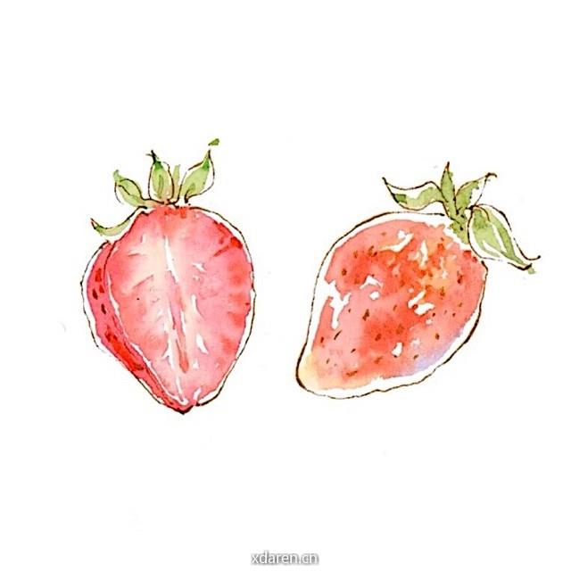 草莓酱的月光宝盒