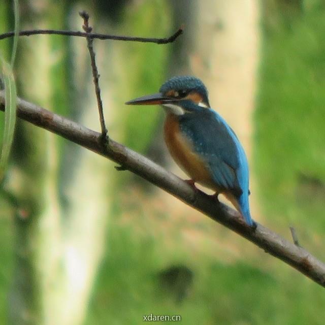 申浦东VS苏东山