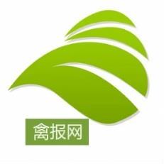 禽报网
