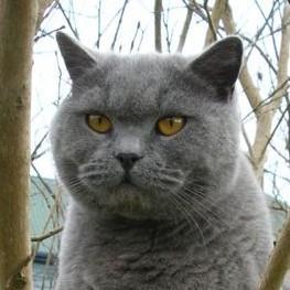 探索奇妙的世界