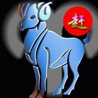 赶羊网Gyw