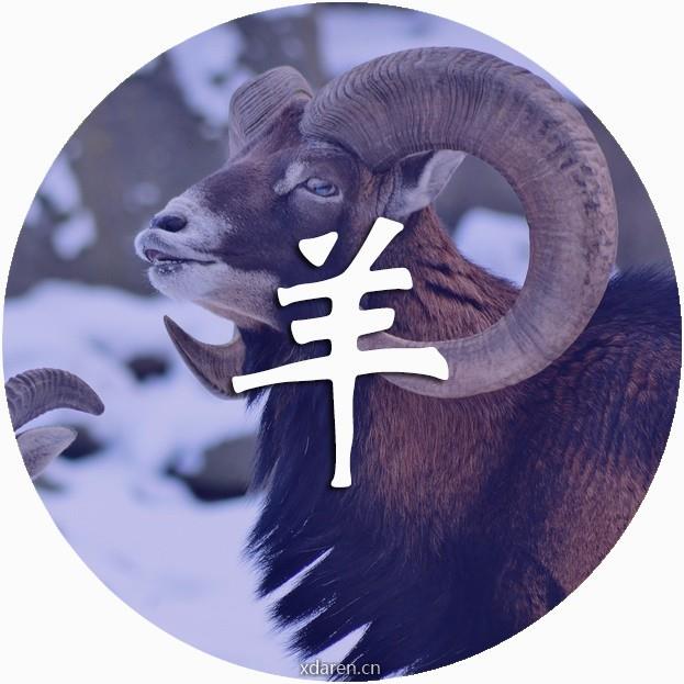 好运之羊