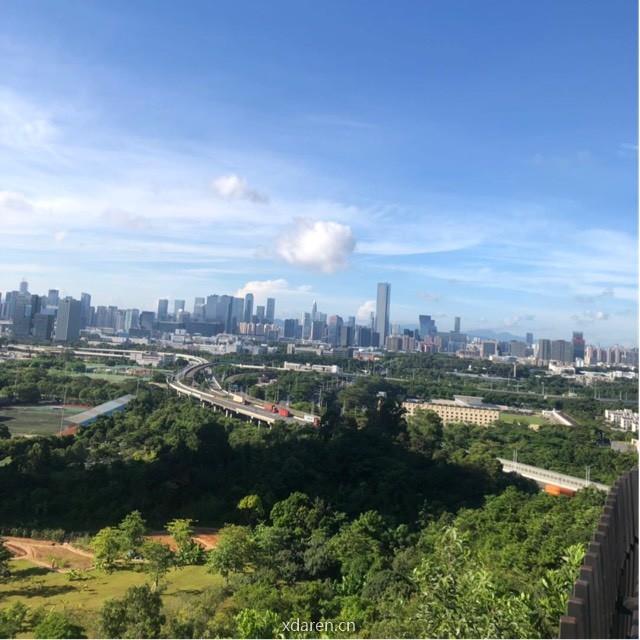 可转债稳定盈利