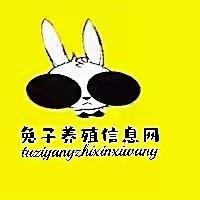 兔子养殖信息网