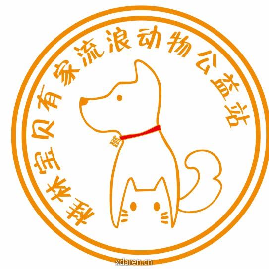 桂林Baby有家流浪动物公益站