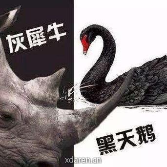 金市周评