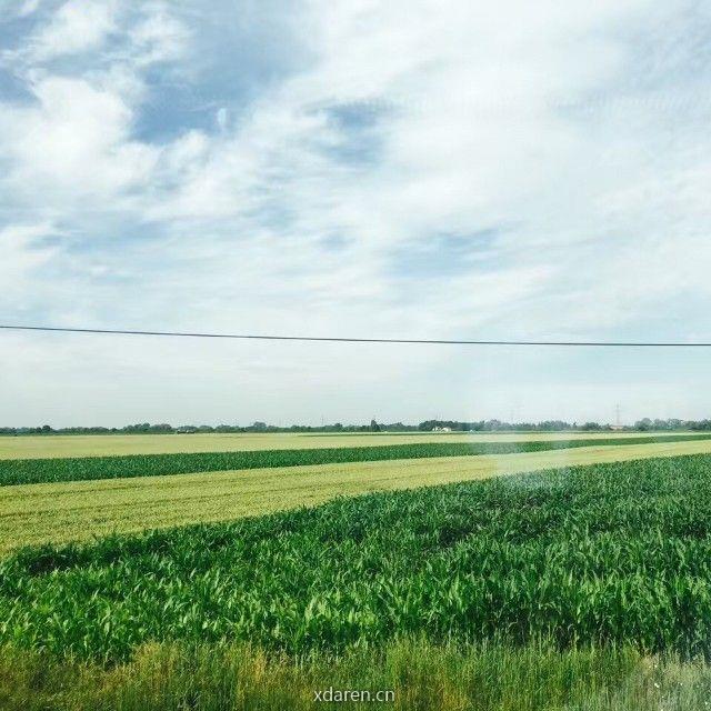 独霸上海的妖怪