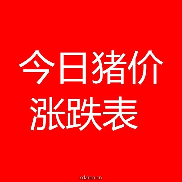 今日猪价涨跌表