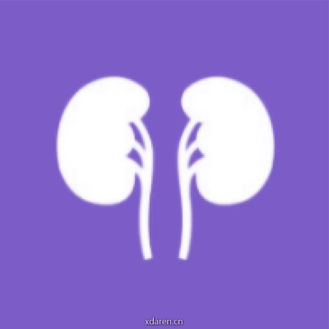 丁香园肾内时间