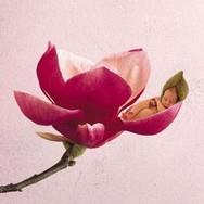 苏州市立医院生殖与遗传中心