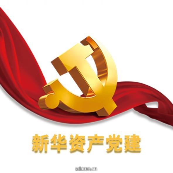 新华资建