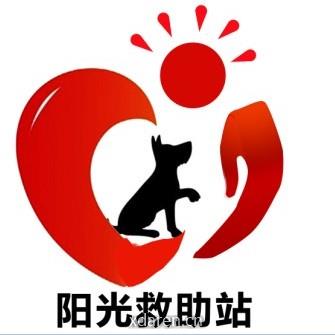 乌市阳光流浪狗救助站