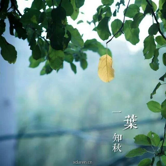 五角钉