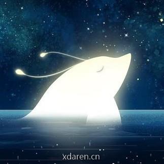 大鱼的数据人生