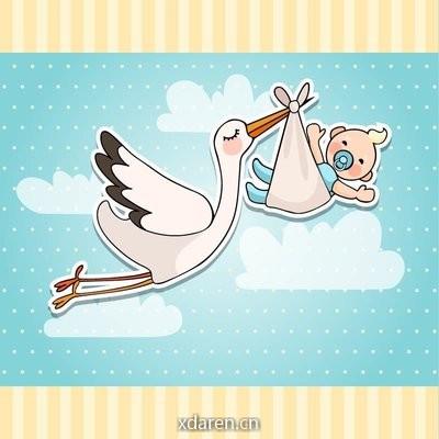 鹳鸟爱宝宝