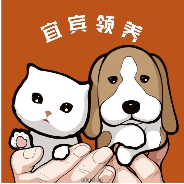 宜宾宠物领养平台