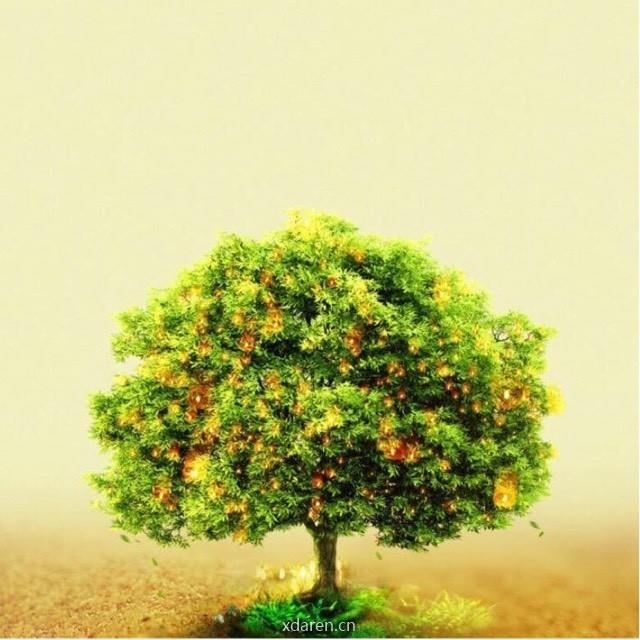 放大器参数解析与LTspice仿真