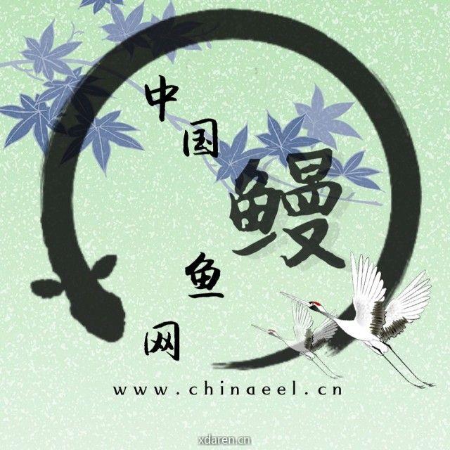 鳗鱼网