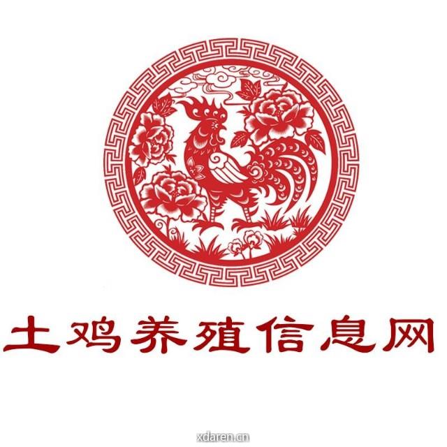 土鸡养殖信息网