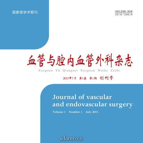 血管与腔内血管外科杂志
