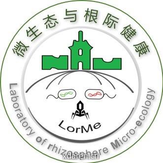南农LorMe