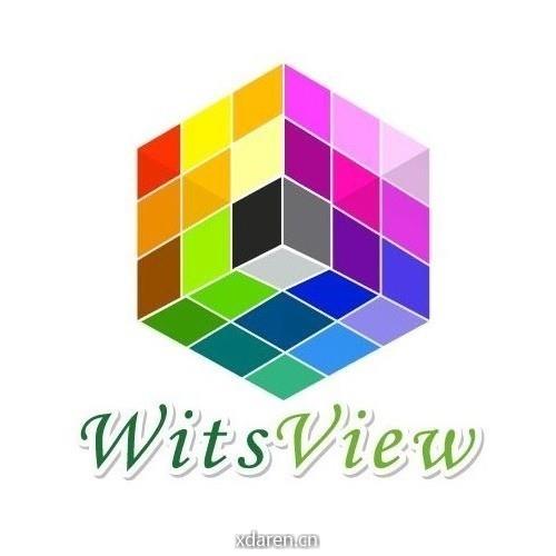 WitsView睿智显示