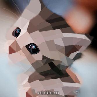 平凡的科研生活