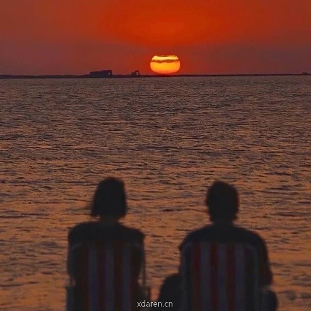流萤拾忆