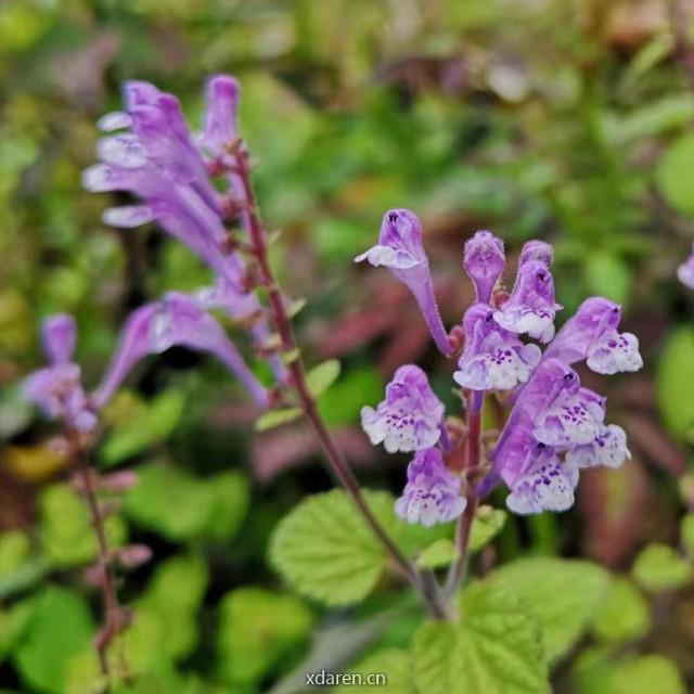 码字工匠李乐明