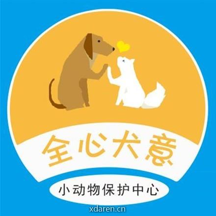 深圳市全心犬意小动物保护中心