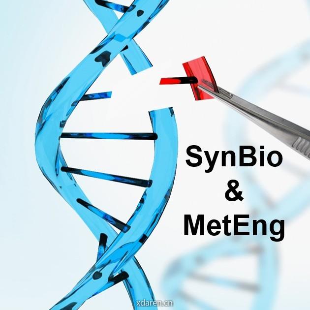 合成生物学与代谢工程实验室