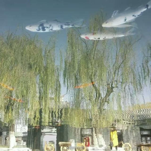 大明湖畔吹小风