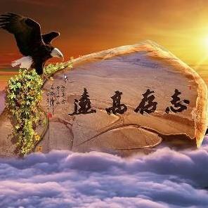 感悟人生励志语录