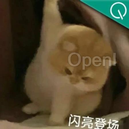 哪里不会扫哪里!全球最强数学大模型发布人人可玩Demo,阿里多模态模型加持,中文适用