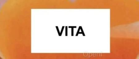 没有等来OpenAI开源GPT-4o,等来了开源版VITA