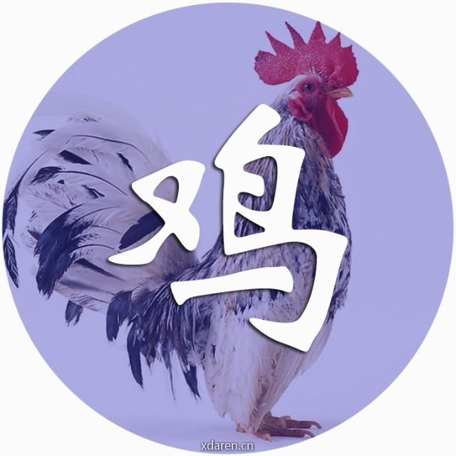 鸡大运